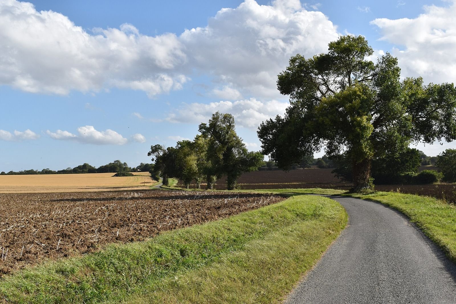 United Kingdom farmland