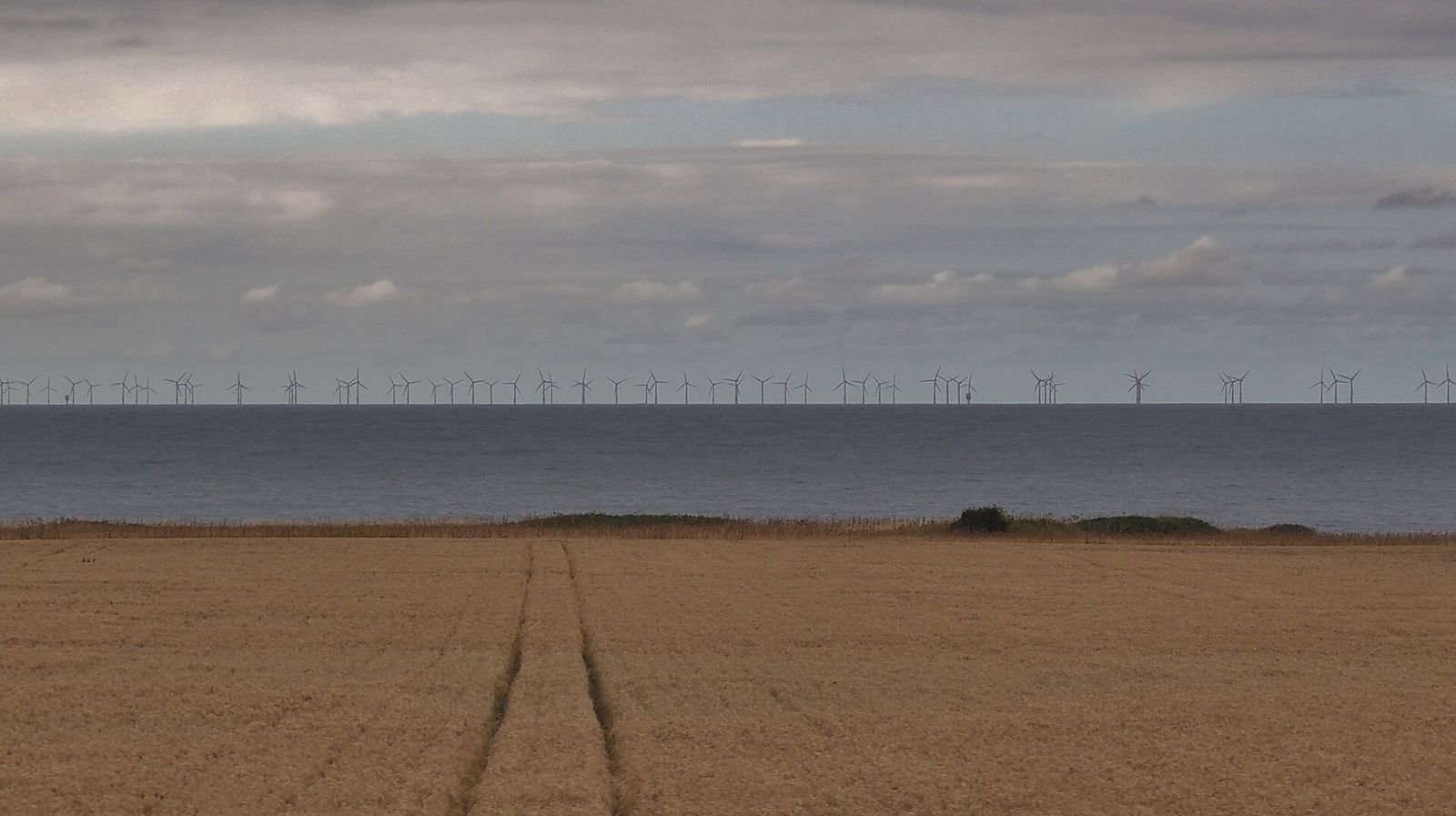 An offshore wind farm